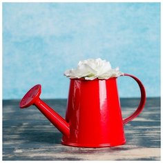 Кашпо "Лейка" микс Take It Easy