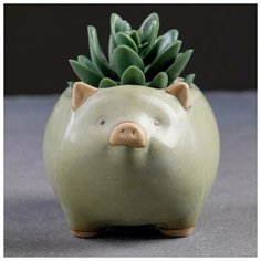Кашпо керамическое "Свинка" 11*9*8см Take It Easy