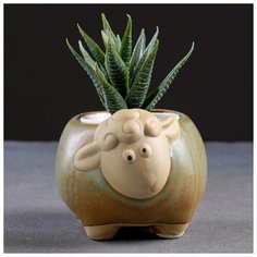 Кашпо керамическое "Овечка" 11*9*8см Take It Easy