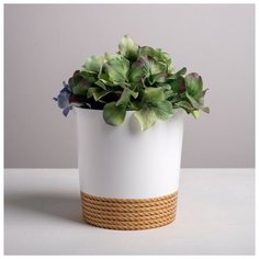 Кашпо «Эко», 1,6 л, 14 х 14 см Дарите счастье