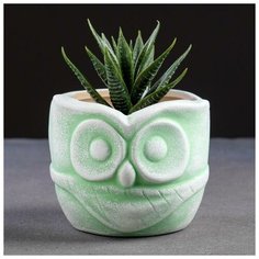 Кашпо керамическое "Сова" 8*10см Take It Easy