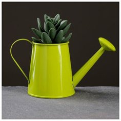 Кашпо "Лейка" 16*7*9см, цвет микс Take It Easy