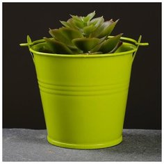 Кашпо "Ведерко" 7*7,5см, цвет микс Take It Easy