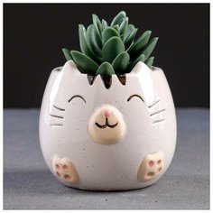 Кашпо керамическое "Котенок" 8*8*8см Take It Easy