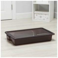 Контейнер для хранения с крышкой Porter, 18 л, 66×42×11,5 см, цвет грозовое небо Berossi