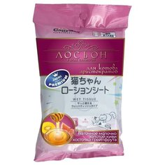 DoggyMan Влажные салфетки для ухода за мордочкой и усиками DoggyMan