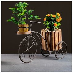 Кашпо- велосипед 33*12*21см Take It Easy