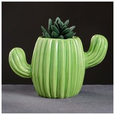 Кашпо керамическое "Кактус" 18*11см Take It Easy