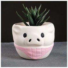 Кашпо керамическое "Поросенок" 8*10см микс Take It Easy
