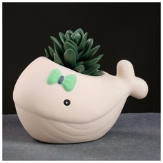 Кашпо керамическое "Кит" 8*14см микс Take It Easy