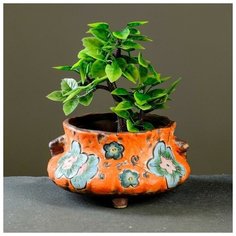 Кашпо фигурное оранжевое, 15,5*15,5*8см Take It Easy