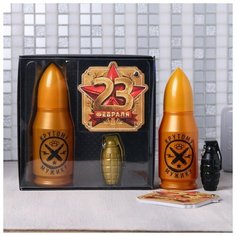 Набор "23 Февраля", гель для душа 200 мл аромат одеколон, ручка, блокнот Чистое счастье