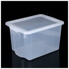 Контейнер для хранения с крышкой Porter, 21 л, 43×32×27 см, цвет прозрачный Berossi