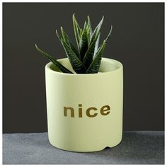 Кашпо "Цилиндр", цвет микс, 8*8*8см Take It Easy