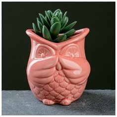 Кашпо фигурное "Сова" розовое, микс 3 вида 9,5*9см Take It Easy