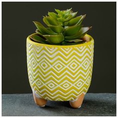 Кашпо керамическое "Узоры", микс 9*8,5см Take It Easy