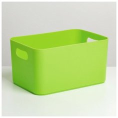 Корзина для хранения Joy, 2,3 л, 23×16×12 см, цвет салатовый Berossi