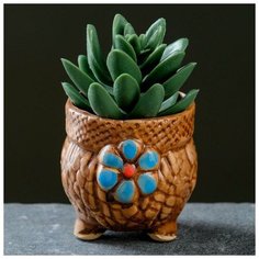 Кашпо керамическое на ножках, 6*6*5см Take It Easy