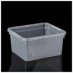 Контейнер для хранения Basic, 2 л, 18,5×16×9 см, цвет прозрачный Fun Box