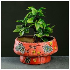 Кашпо фигурное "Ветви" красное 13,5*13,5*5,5см Take It Easy