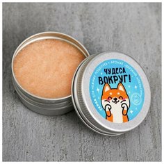 Скраб для губ в баночке «Чудеса вокруг», апельсин Beauty Fox