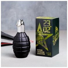 Туалетная вода «23 февраля», 100 мл Royal Garden