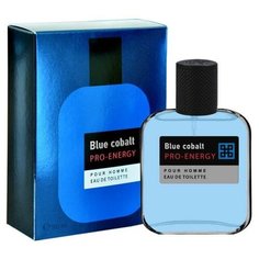 Туалетная вода мужская Pro- Energy Blue Cobalt, 100 мл Delta Parfum