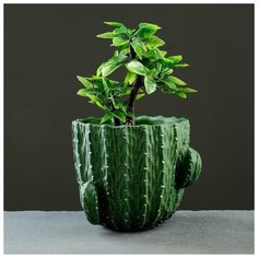 Кашпо керамическое "Кактус" 19*16см Take It Easy