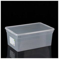 Контейнер для хранения с крышкой Basic, 10 л, 37×24×15,5 см, цвет прозрачный Fun Box