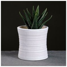 Кашпо керамическое "Цилиндр" 7,5*7,5см Take It Easy