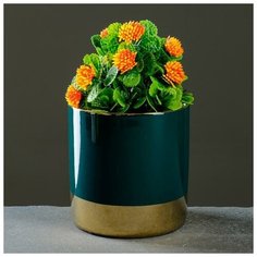 Кашпо керамическое двухцветное 10*10,5см Take It Easy