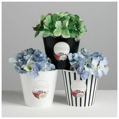 Набор кашпо 3 в 1 Beautiful, тиснение, 0,8 л, 11 х 12 см Дарите счастье