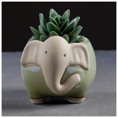 Кашпо керамическое "Слоник" 11*9*8см Take It Easy