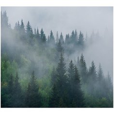 Фотообои Таман над лесом/ Красивые уютные обои на стену в интерьер комнаты/ 3Д расширяющие пространство над кроватью или над столом/ На кухню в спальню детскую зал гостиную прихожую/ размер 300х270см/ Флизелиновые