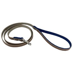 Поводок Suomi Line для собак, бежевый/синий, 10 мм/120 cм Zo Oexpress
