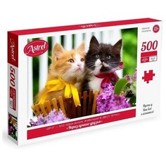 Пазл «Неразлучные друзья», 500 элементов Origami