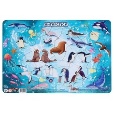 Пазл в рамке «Антарктида», 53 элемента Dodo
