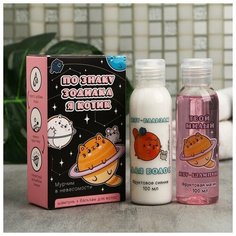 Набор «По знаку зодиака я - котик» шампунь, бальзам Beauty Fox