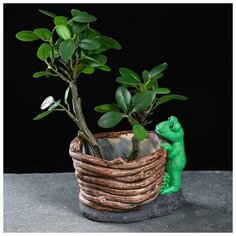 Кашпо керамическое "Лягушка у бочонка" 13*11*10см Take It Easy