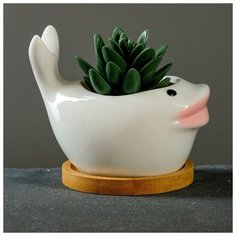 Кашпо фигурное "Кит" белое 11,5*7,5*9см Take It Easy