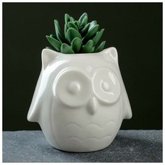 Кашпо фигурное "Совенок" белое 10,5*9*10см Take It Easy
