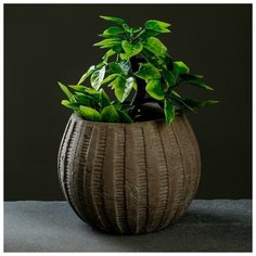 Кашпо керамическое "Шар" коричневое 13*13*10 см Take It Easy