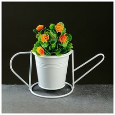 Кашпо металлическое "Лейка" с подставкой, микс 9,5*7*9,5 Take It Easy