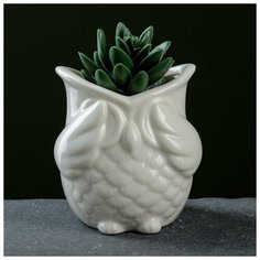 Кашпо фигурное "Сова" белое, микс 3 вида 9,5*9см Take It Easy