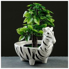 Кашпо керамическое "Зебра" 19*13*13см Take It Easy