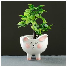 Кашпо керамическое "Зайчик" 11*10см Take It Easy