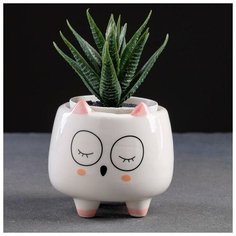 Кашпо керамическое "Совенок" 8*8*8см Take It Easy