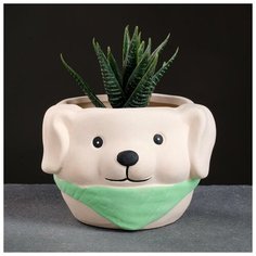 Кашпо керамическое "Собачка" 8*10см микс Take It Easy