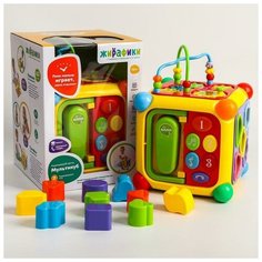 Развивающий центр «Мультикуб Жирафики