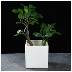 Кашпо керамическое "Куб под наклоном" 9*9*11см Take It Easy